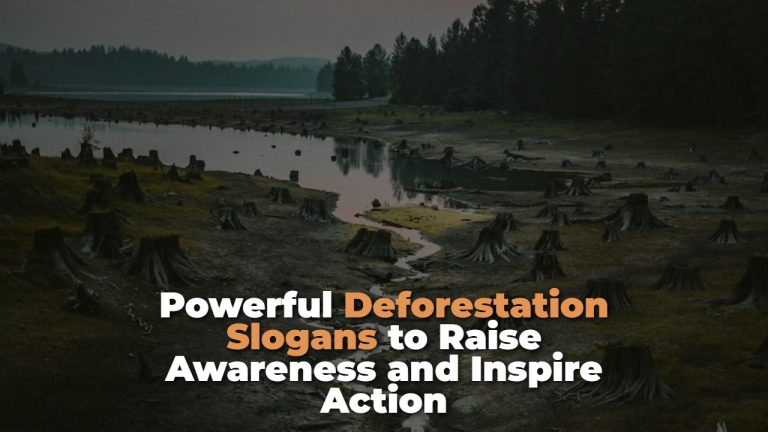 powerful_deforestation_slogans_to_raise